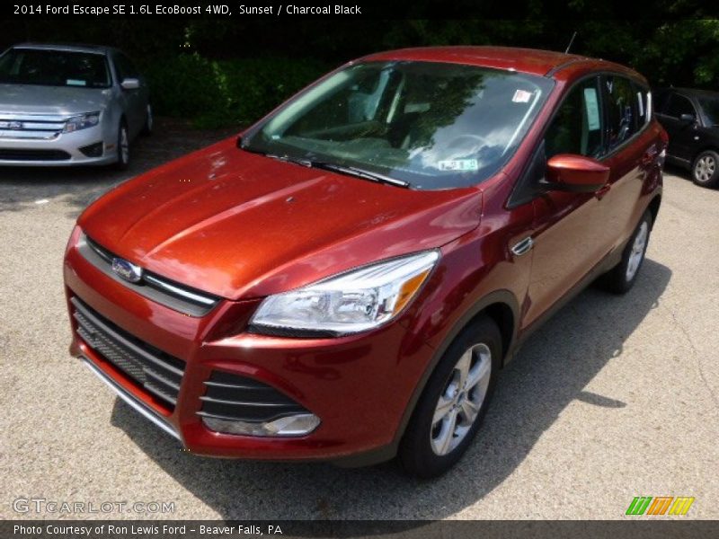 Sunset / Charcoal Black 2014 Ford Escape SE 1.6L EcoBoost 4WD