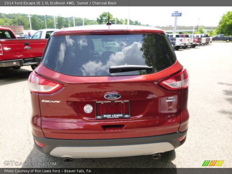 Sunset / Charcoal Black 2014 Ford Escape SE 1.6L EcoBoost 4WD