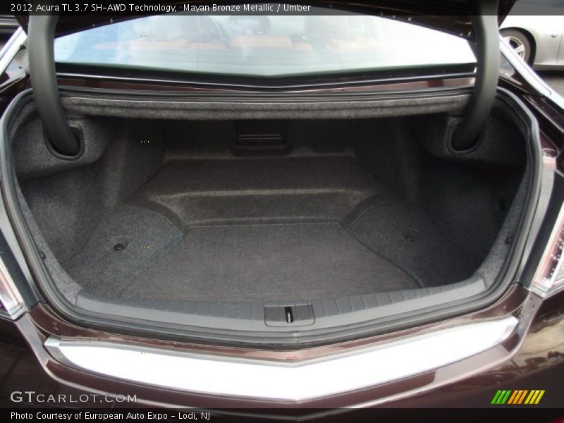Mayan Bronze Metallic / Umber 2012 Acura TL 3.7 SH-AWD Technology