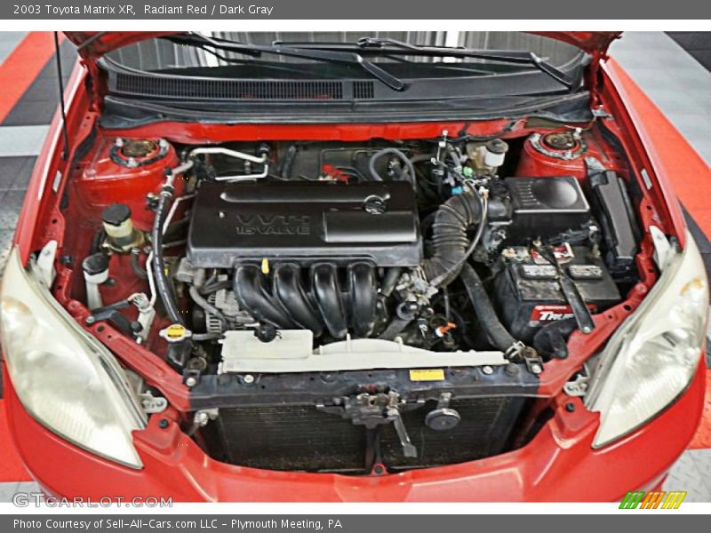 Radiant Red / Dark Gray 2003 Toyota Matrix XR
