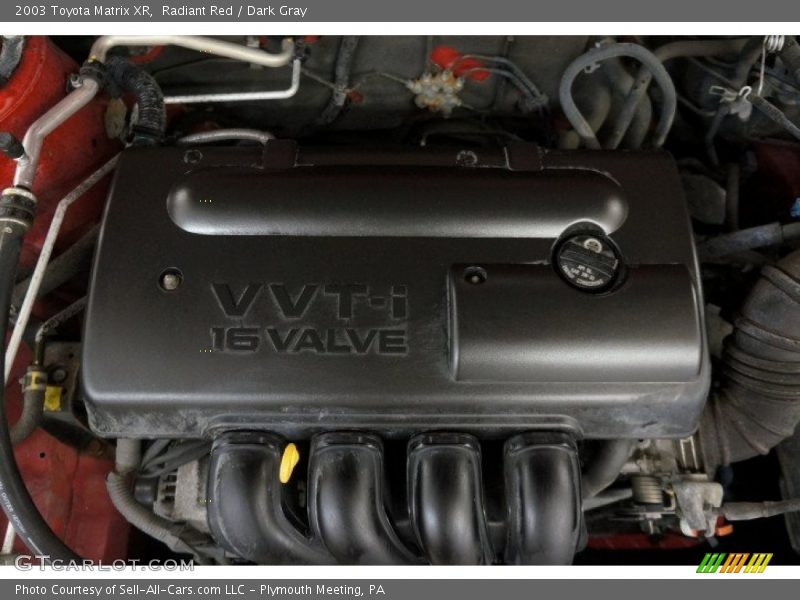 Radiant Red / Dark Gray 2003 Toyota Matrix XR