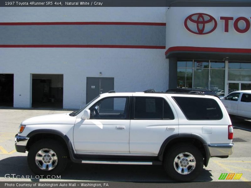 Natural White / Gray 1997 Toyota 4Runner SR5 4x4