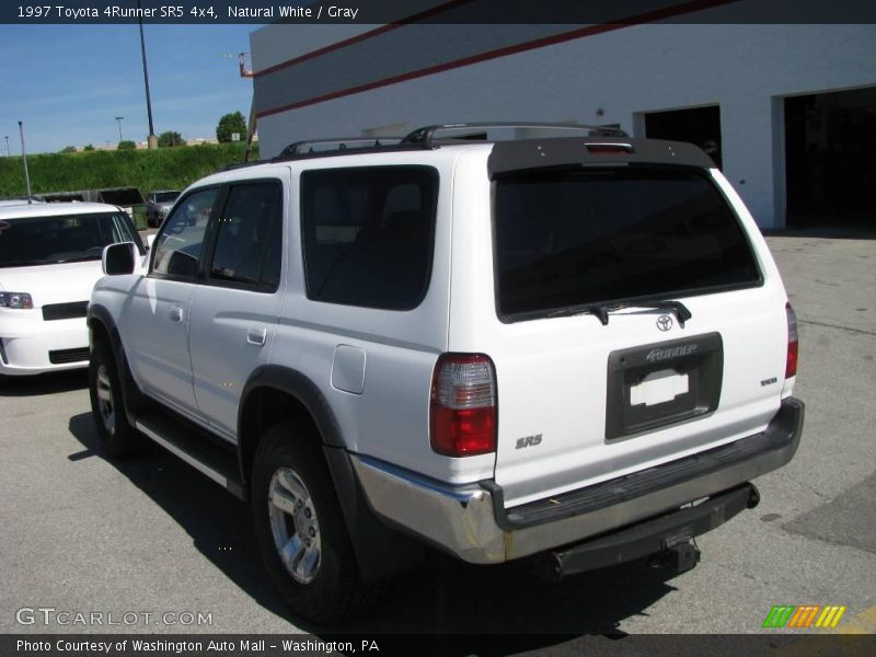 Natural White / Gray 1997 Toyota 4Runner SR5 4x4