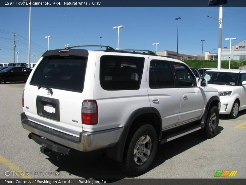 Natural White / Gray 1997 Toyota 4Runner SR5 4x4