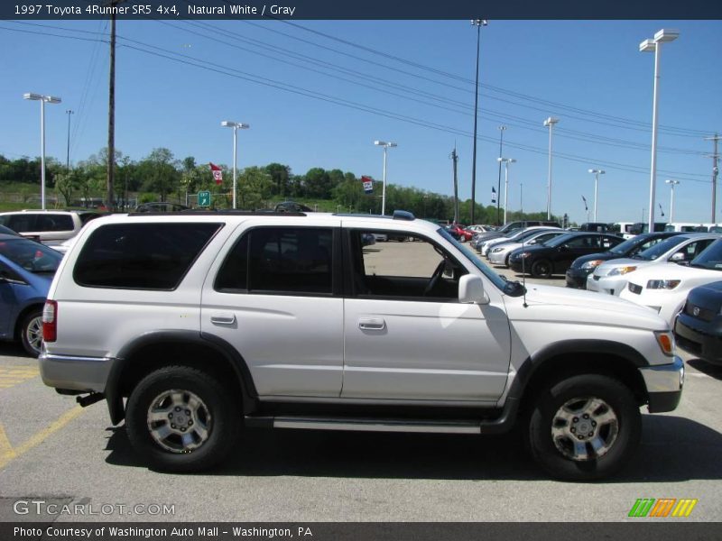 Natural White / Gray 1997 Toyota 4Runner SR5 4x4