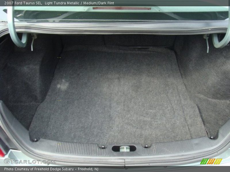 Light Tundra Metallic / Medium/Dark Flint 2007 Ford Taurus SEL