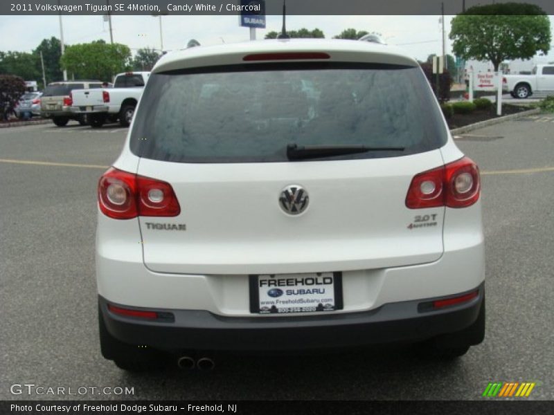 Candy White / Charcoal 2011 Volkswagen Tiguan SE 4Motion