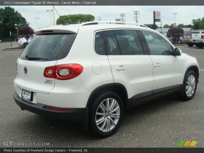 Candy White / Charcoal 2011 Volkswagen Tiguan SE 4Motion