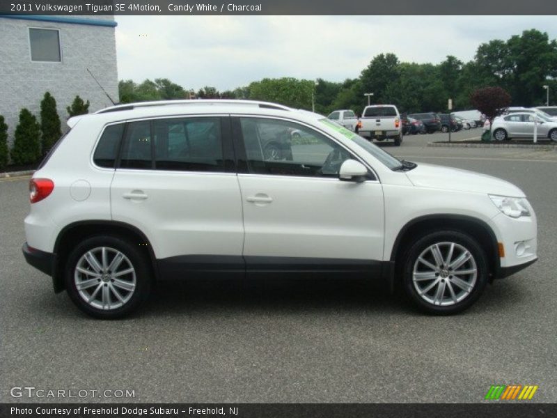 Candy White / Charcoal 2011 Volkswagen Tiguan SE 4Motion