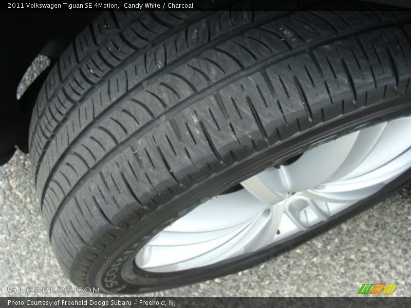 Candy White / Charcoal 2011 Volkswagen Tiguan SE 4Motion