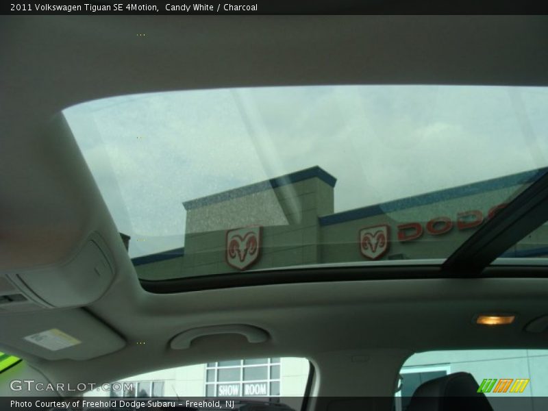 Candy White / Charcoal 2011 Volkswagen Tiguan SE 4Motion