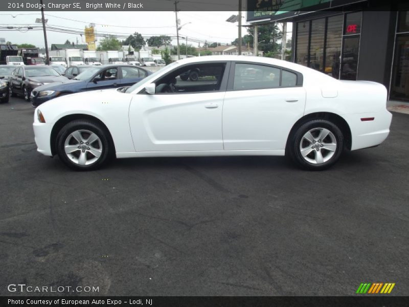 Bright White / Black 2014 Dodge Charger SE