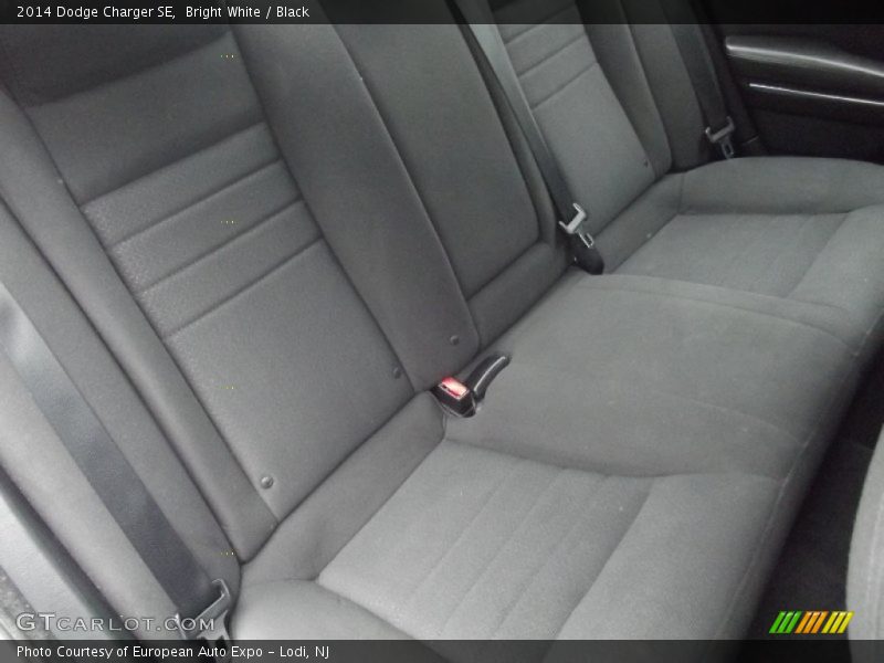 Bright White / Black 2014 Dodge Charger SE