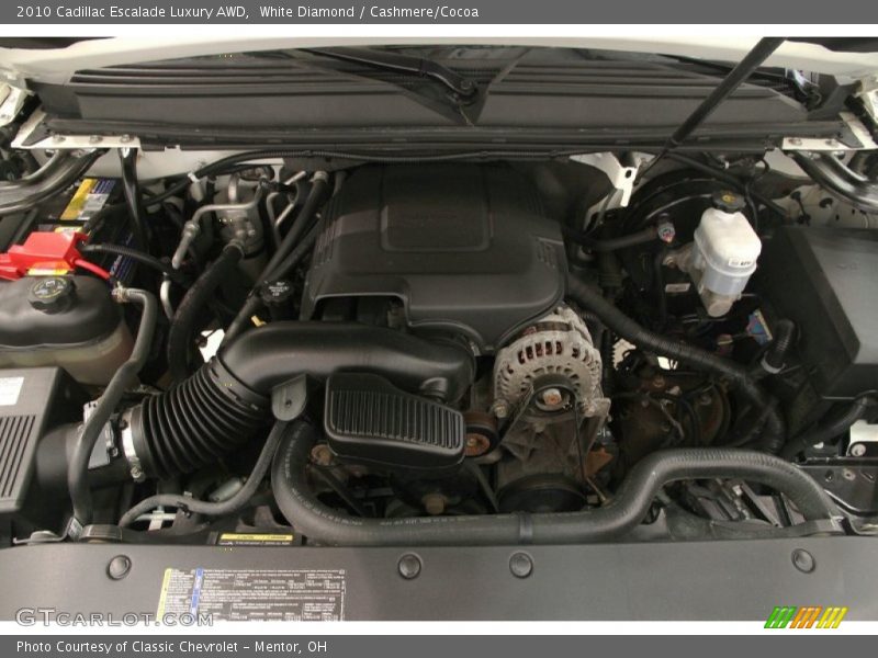 White Diamond / Cashmere/Cocoa 2010 Cadillac Escalade Luxury AWD