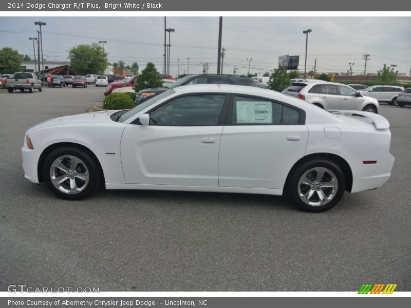 Bright White / Black 2014 Dodge Charger R/T Plus