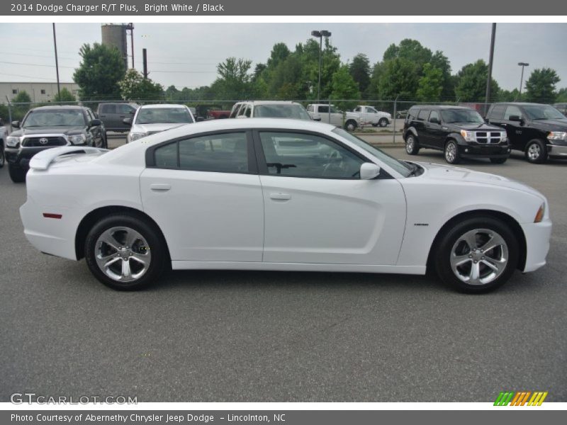 Bright White / Black 2014 Dodge Charger R/T Plus