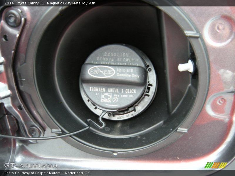 Magnetic Gray Metallic / Ash 2014 Toyota Camry LE