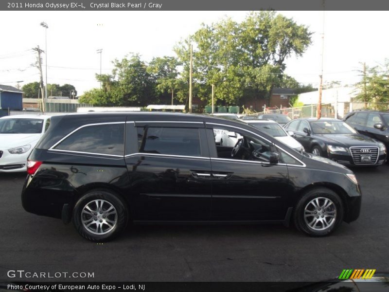 Crystal Black Pearl / Gray 2011 Honda Odyssey EX-L