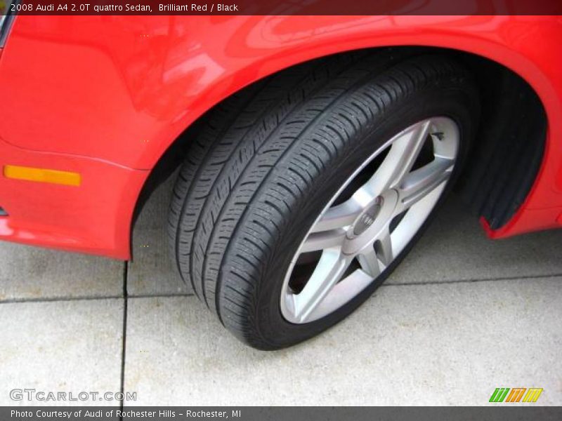 Brilliant Red / Black 2008 Audi A4 2.0T quattro Sedan