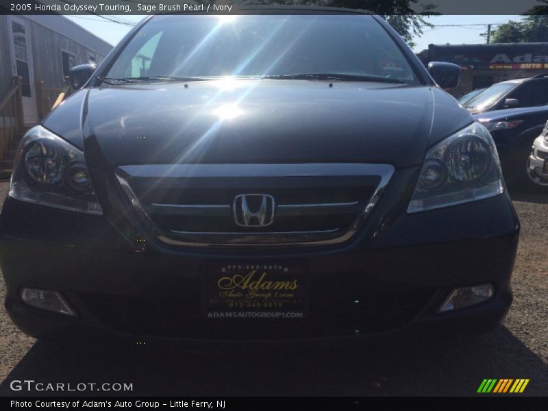 Sage Brush Pearl / Ivory 2005 Honda Odyssey Touring
