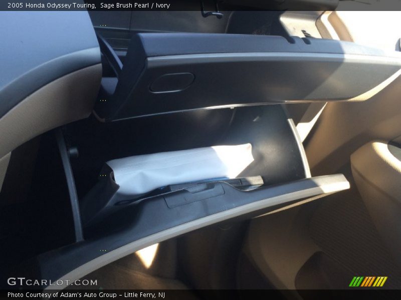 Sage Brush Pearl / Ivory 2005 Honda Odyssey Touring