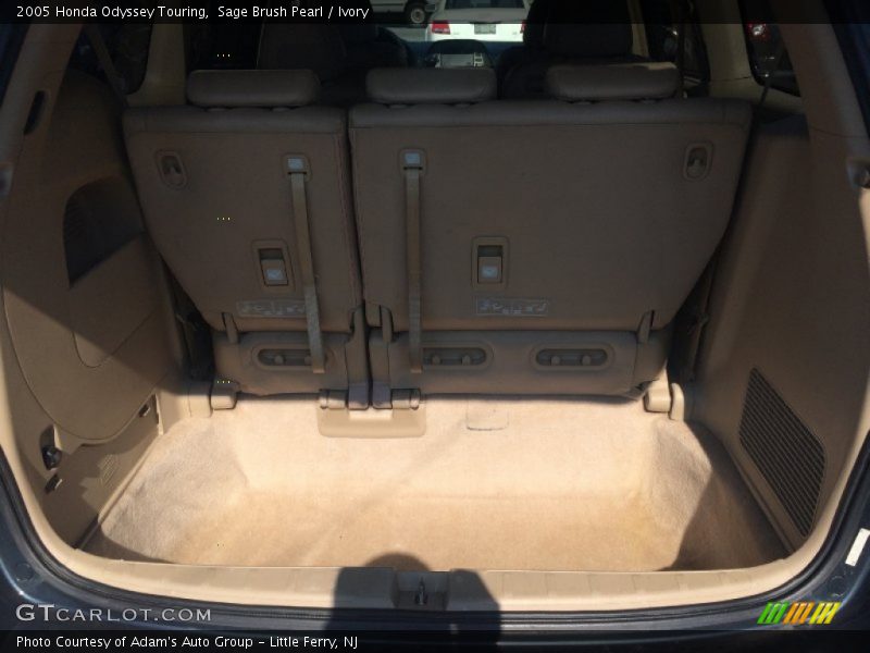 Sage Brush Pearl / Ivory 2005 Honda Odyssey Touring