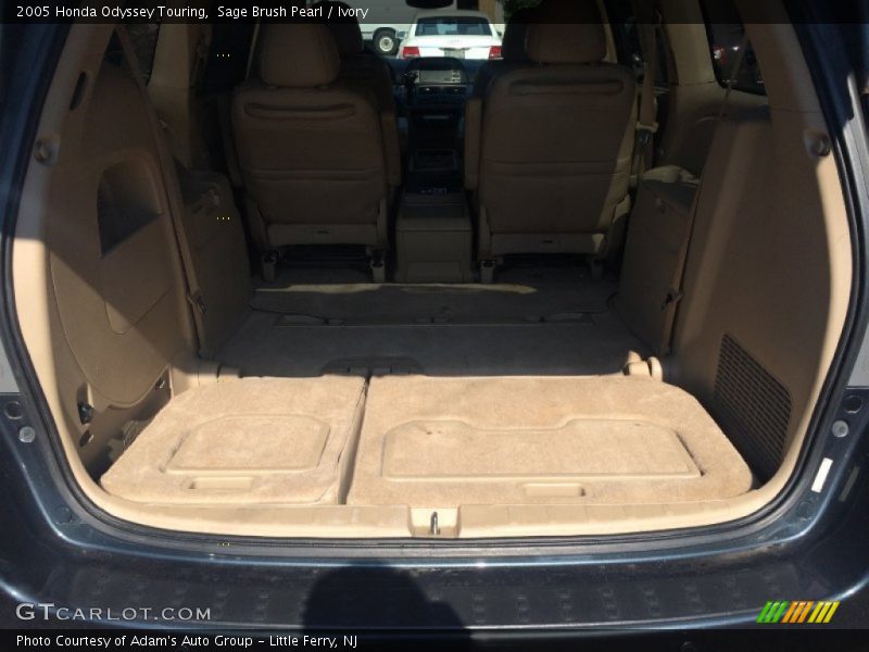 Sage Brush Pearl / Ivory 2005 Honda Odyssey Touring