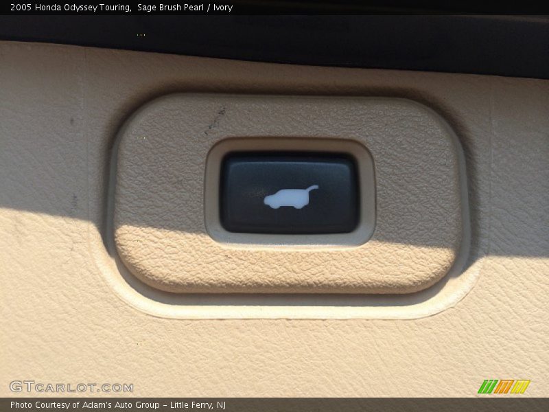 Sage Brush Pearl / Ivory 2005 Honda Odyssey Touring