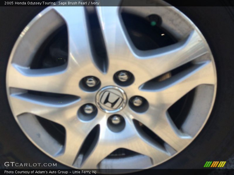 Sage Brush Pearl / Ivory 2005 Honda Odyssey Touring