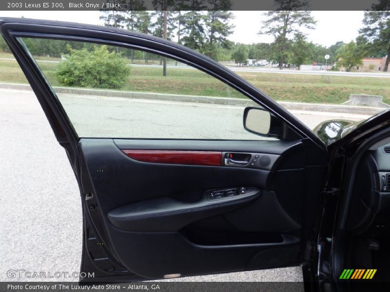 Black Onyx / Black 2003 Lexus ES 300