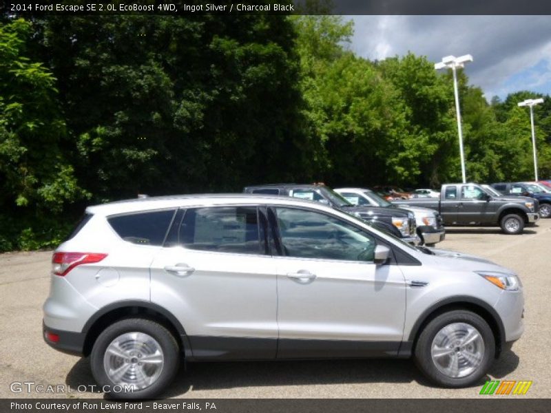 Ingot Silver / Charcoal Black 2014 Ford Escape SE 2.0L EcoBoost 4WD