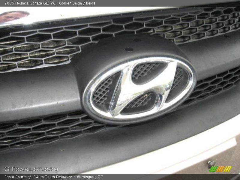 Golden Beige / Beige 2006 Hyundai Sonata GLS V6