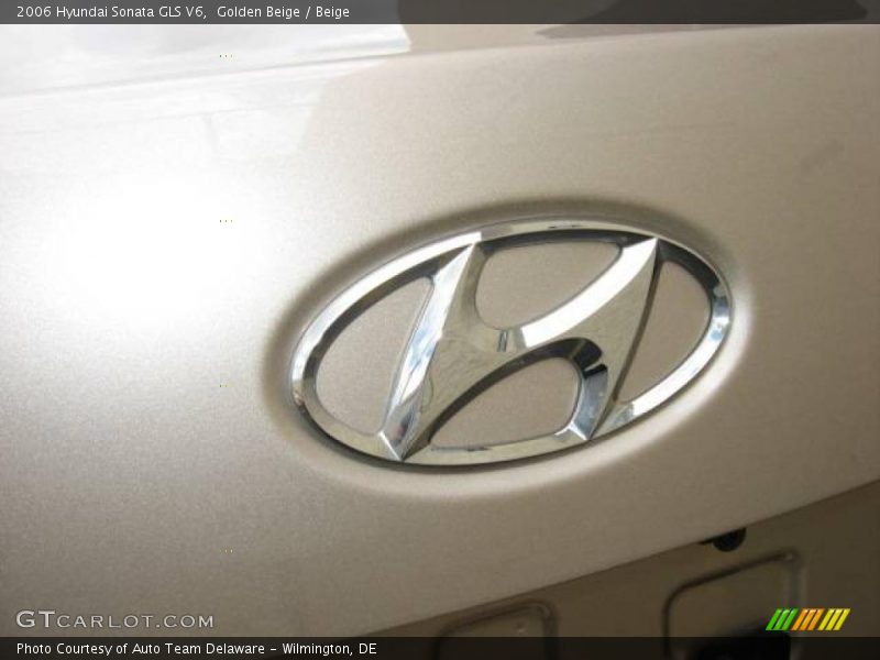 Golden Beige / Beige 2006 Hyundai Sonata GLS V6