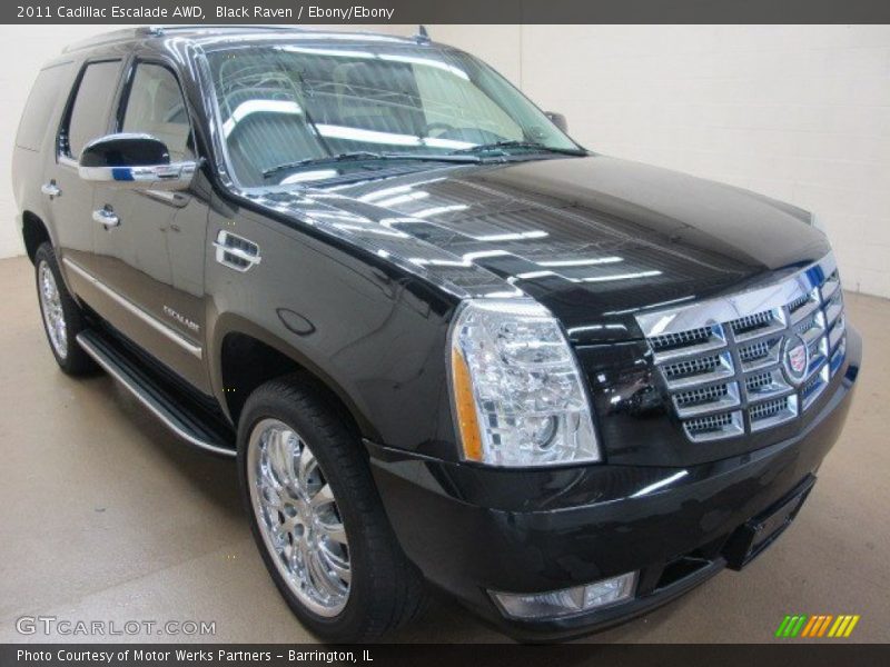 Black Raven / Ebony/Ebony 2011 Cadillac Escalade AWD