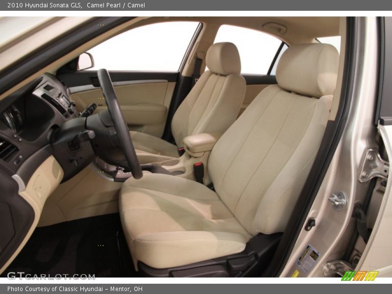 Camel Pearl / Camel 2010 Hyundai Sonata GLS