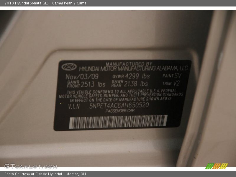 Camel Pearl / Camel 2010 Hyundai Sonata GLS