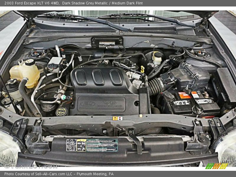 Dark Shadow Grey Metallic / Medium Dark Flint 2003 Ford Escape XLT V6 4WD