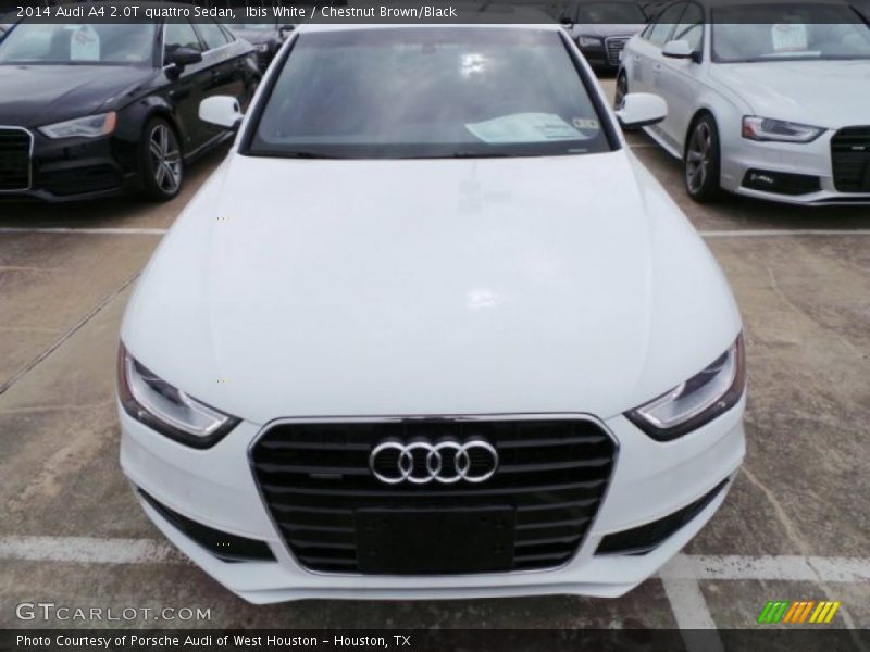 Ibis White / Chestnut Brown/Black 2014 Audi A4 2.0T quattro Sedan