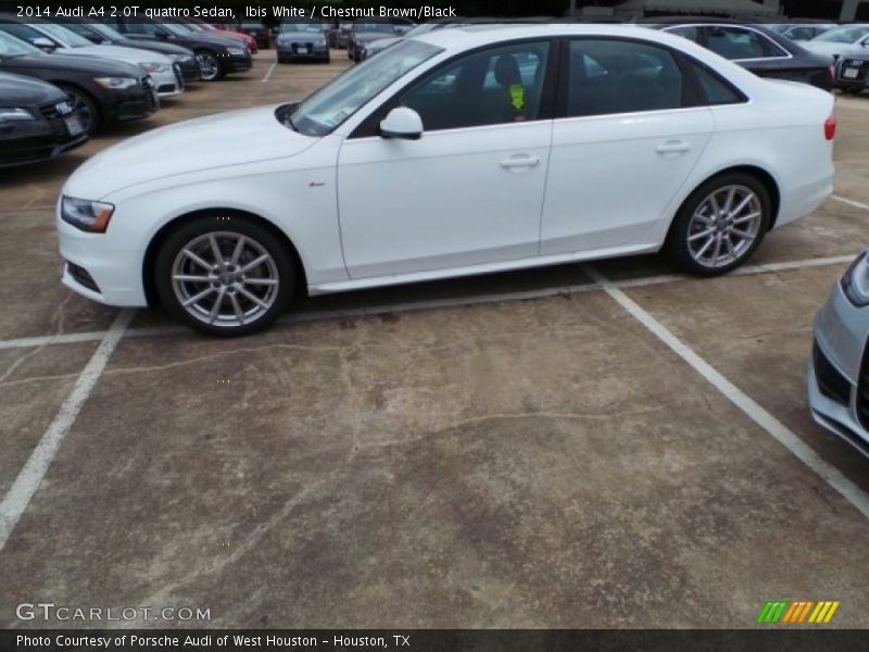 Ibis White / Chestnut Brown/Black 2014 Audi A4 2.0T quattro Sedan