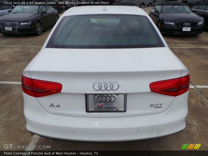 Ibis White / Chestnut Brown/Black 2014 Audi A4 2.0T quattro Sedan
