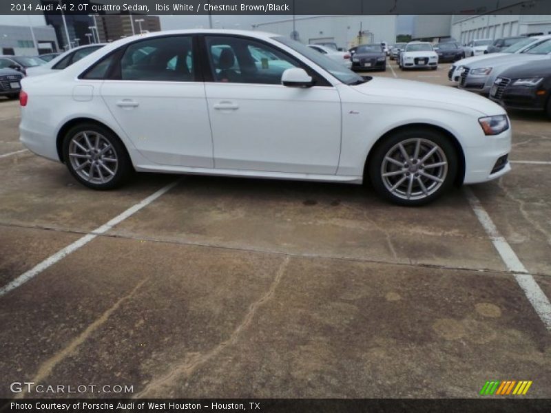 Ibis White / Chestnut Brown/Black 2014 Audi A4 2.0T quattro Sedan