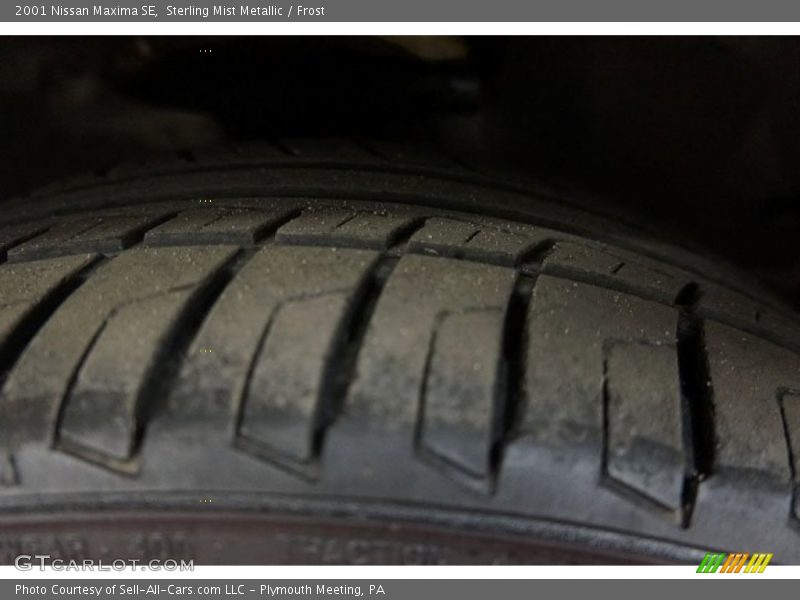 Sterling Mist Metallic / Frost 2001 Nissan Maxima SE