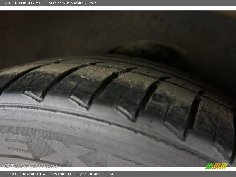 Sterling Mist Metallic / Frost 2001 Nissan Maxima SE