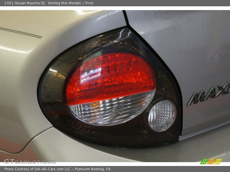 Sterling Mist Metallic / Frost 2001 Nissan Maxima SE