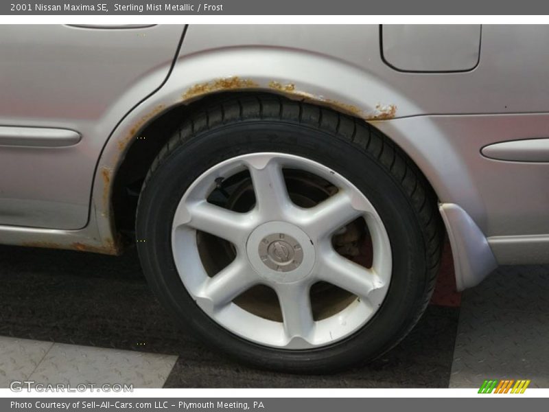 Sterling Mist Metallic / Frost 2001 Nissan Maxima SE