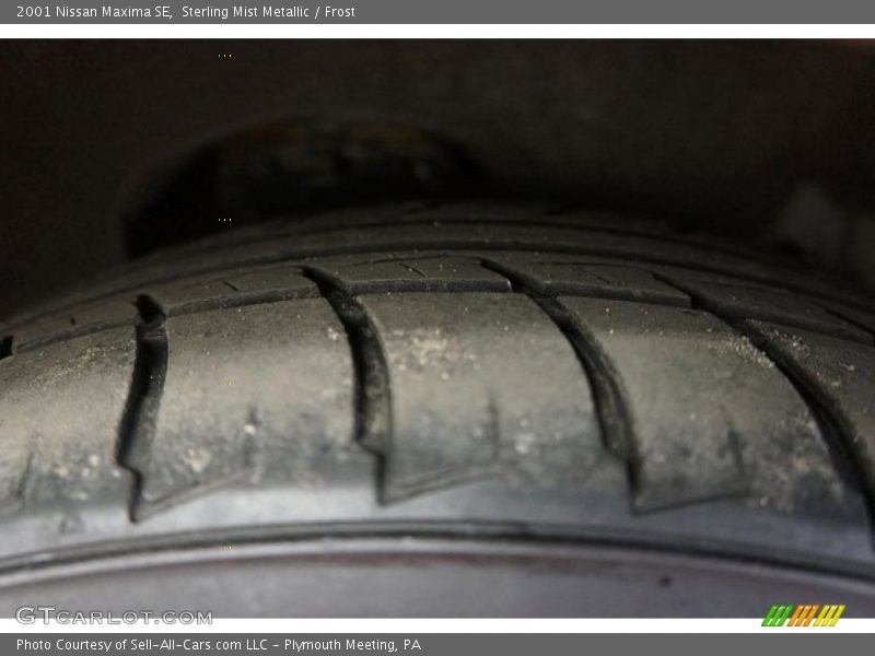 Sterling Mist Metallic / Frost 2001 Nissan Maxima SE