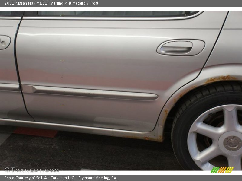 Sterling Mist Metallic / Frost 2001 Nissan Maxima SE
