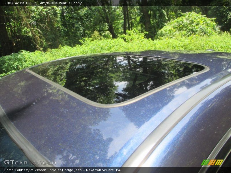 Abyss Blue Pearl / Ebony 2004 Acura TL 3.2