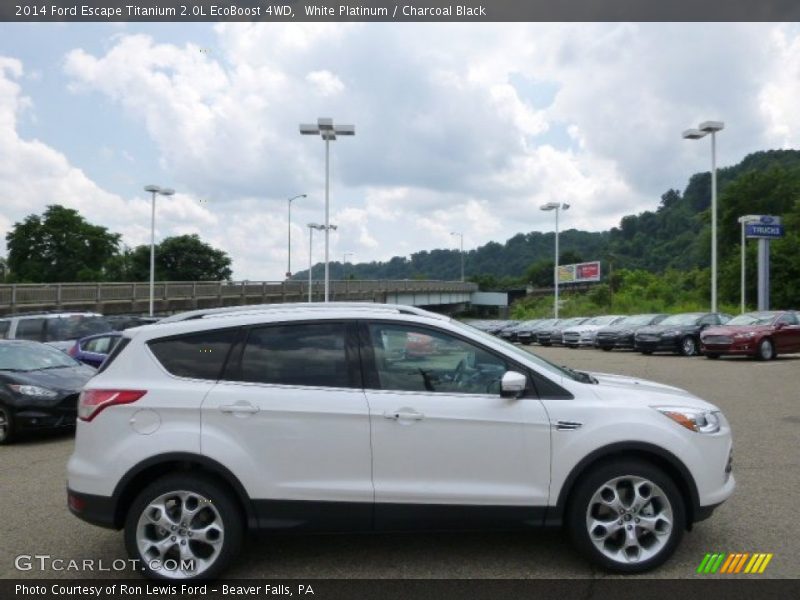 White Platinum / Charcoal Black 2014 Ford Escape Titanium 2.0L EcoBoost 4WD