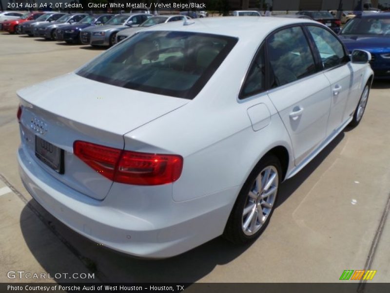 Glacier White Metallic / Velvet Beige/Black 2014 Audi A4 2.0T Sedan